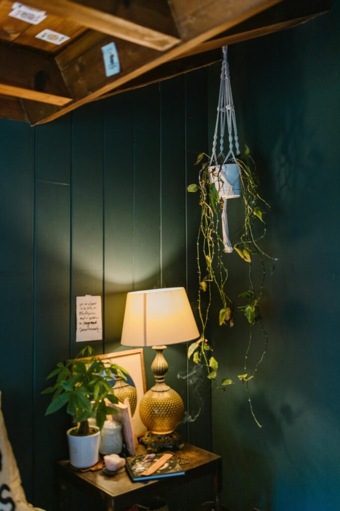 A warm, inviting indoor space featuring a lamp and hanging plants, perfect for relaxation.